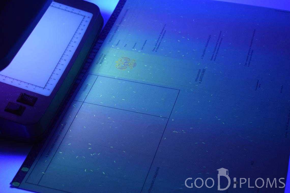 Приложение к Диплому Бакалавра с Отличием в Ультрафиолете период c 2013 по 2025 год - Умань