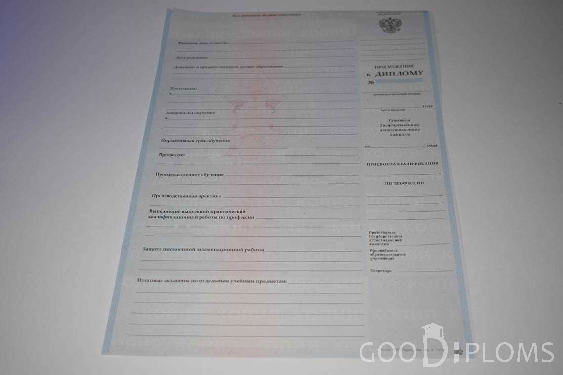 Приложение к Диплому Училища период выдачи 2007-2010  -  Умань