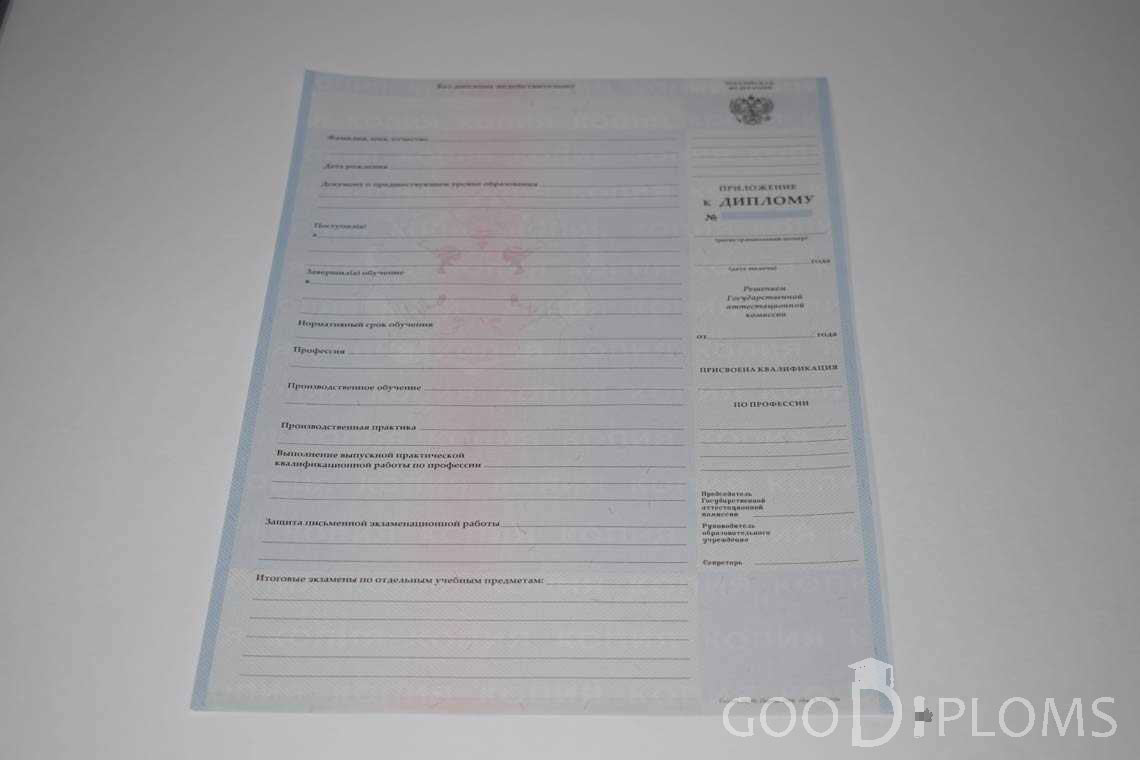 Приложение к Диплому Техникума с Отличием в период c 2008 по 2010 год - Умань