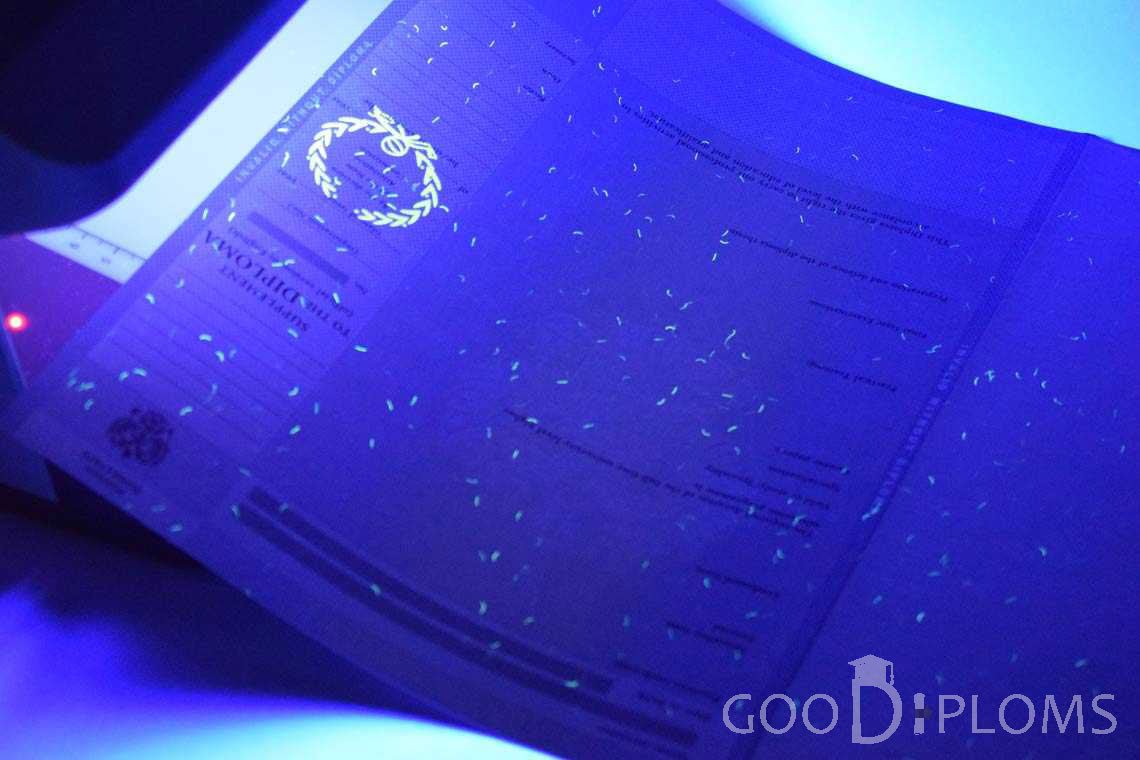 Приложение к Диплому Для Иностранных Граждан в Ультрафиолете - Умань