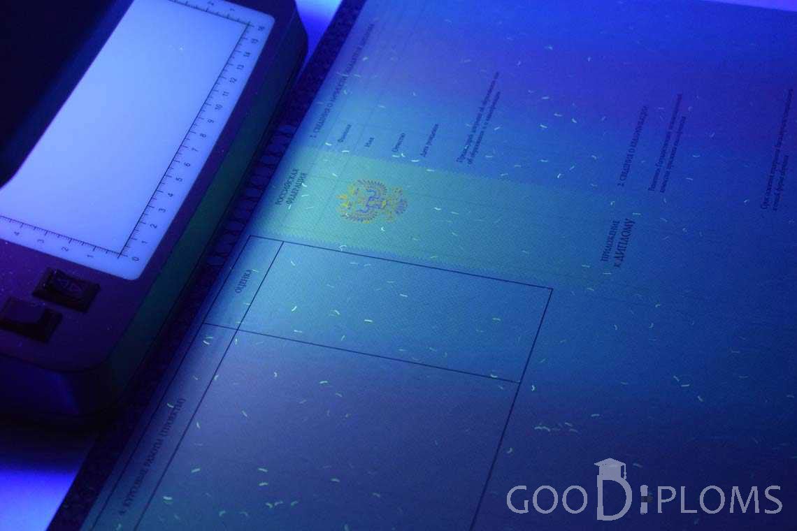 Приложение к Диплому о Высшем Образовании с Отличием в Ультрафиолете - Умань